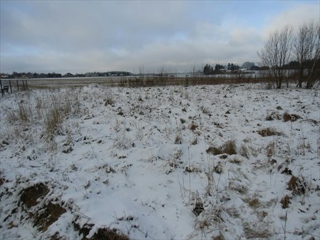 Działka budowlana na sprzedaż Dobrzewino, Ratanowa 1 359m2 Foto 3