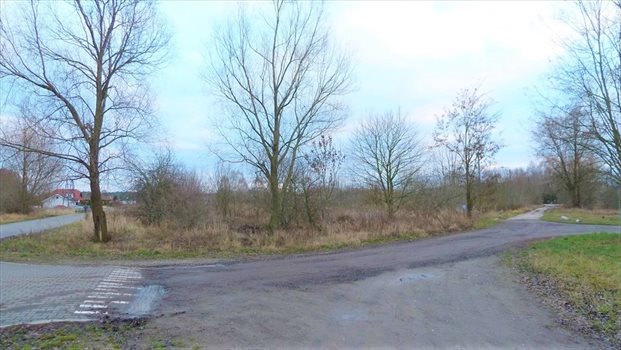 Działka komercyjna na sprzedaż Gorzów Wielkopolski, Karnin 1 162m2 Foto 5