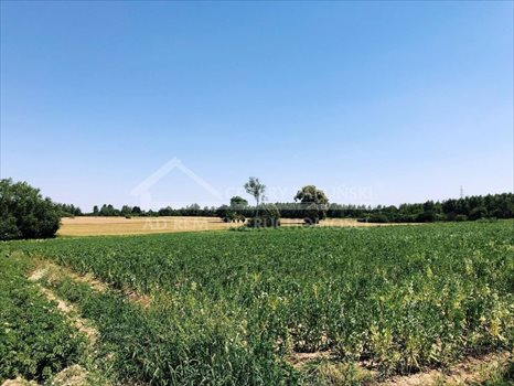 Działka budowlana na sprzedaż Kalinówka, Głusk 7 400m2 Foto 7