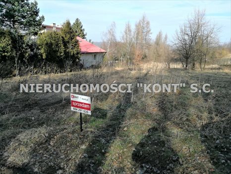 Działka budowlana na sprzedaż Krzywaczka 2 300m2 Foto 2