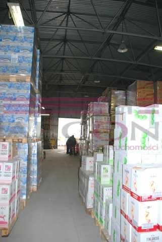 Lokal użytkowy na wynajem Mińsk Mazowiecki 900m2 Foto 12