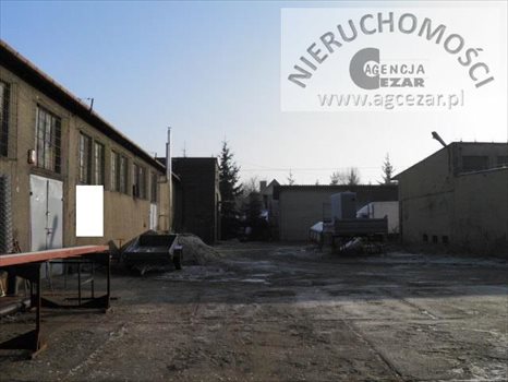 Lokal użytkowy na sprzedaż Mińsk Mazowiecki 1 330m2 Foto 2