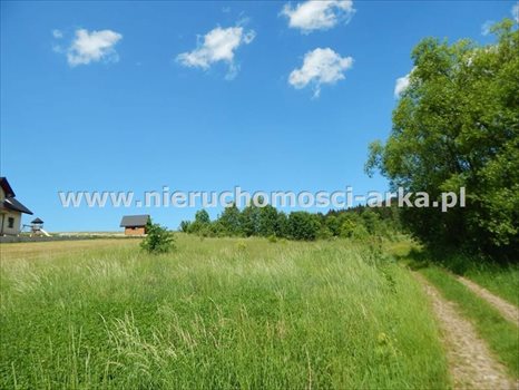 Działka budowlana na sprzedaż Kasina Wielka 1 500m2 Foto 4