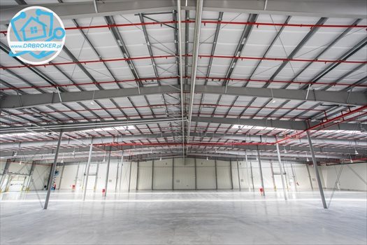 Lokal użytkowy na wynajem Białystok, Skorupy, Konstantego Ciołkowskiego 595m2 Foto 1