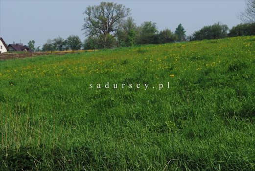 Działka inwestycyjna na sprzedaż Libertów 2 000m2 Foto 6