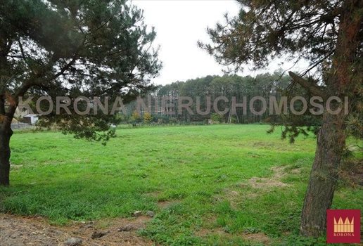 Działka budowlana na sprzedaż Rybnik 1 120m2 Foto 7