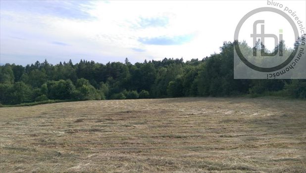 Działka rekreacyjna na sprzedaż Kalwaria Zebrzydowska 11 283m2 Foto 2