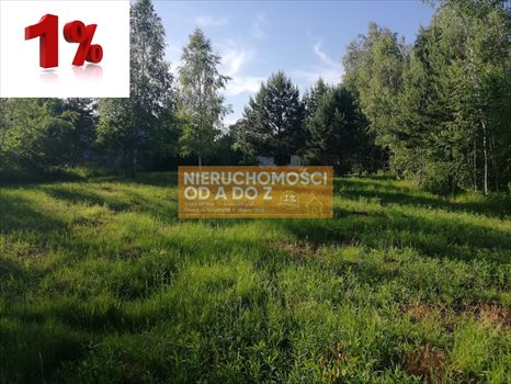 Działka budowlana na sprzedaż Otwock, Majowa 2 000m2 Foto 4