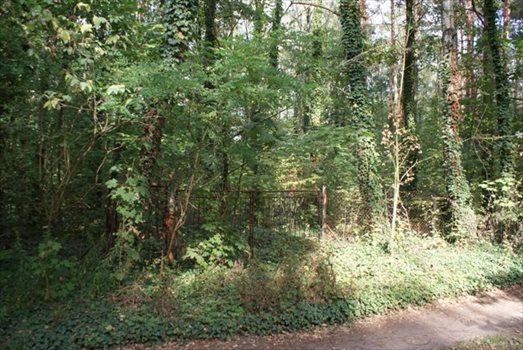 Działka budowlana na sprzedaż Dąbrówka Wielka 3 076m2 Foto 1