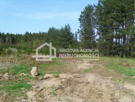 Działka budowlana na sprzedaż Sitno 3 005m2 Foto 7