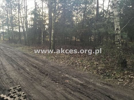 Działka budowlana na sprzedaż Łoś, Łoś 1 000m2 Foto 1