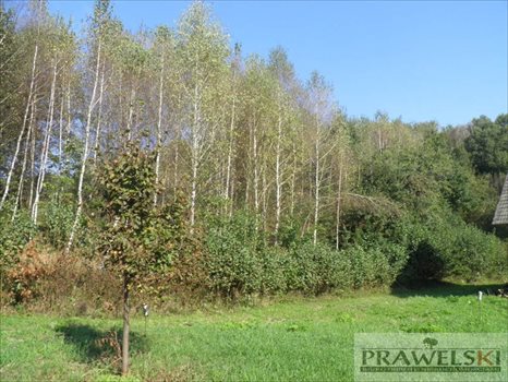 Dom na sprzedaż Błażowa Górna 120m2 Foto 6