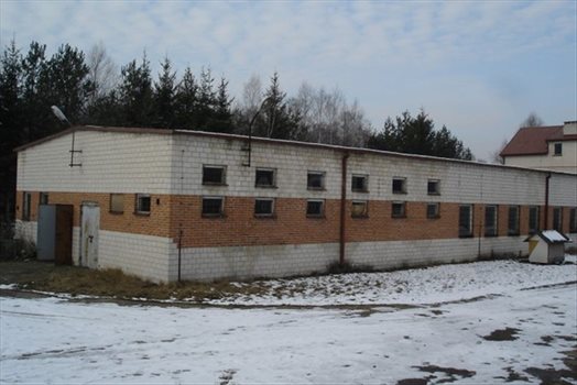 Lokal użytkowy na sprzedaż Pustelnik 1 900m2 Foto 4
