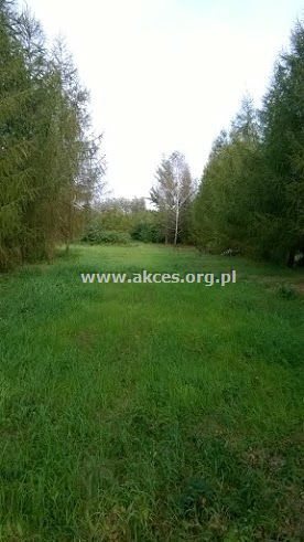 Działka budowlana na sprzedaż Marylka, Majowa 2 540m2 Foto 3