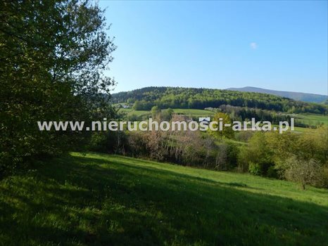 Działka budowlana na sprzedaż Skrzydlna 8 400m2 Foto 4