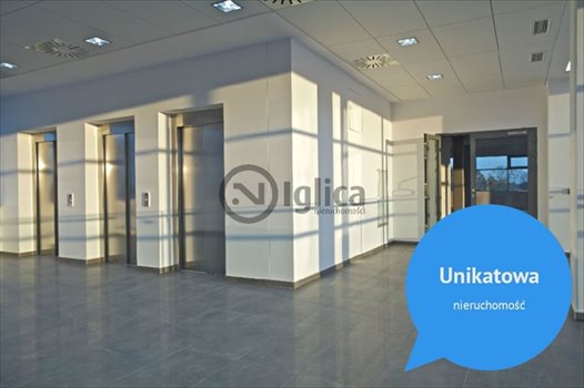 Lokal użytkowy na wynajem Wrocław, Psie Pole 615m2 Foto 3