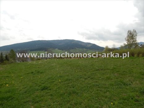 Działka budowlana na sprzedaż Jurków 1 600m2 Foto 3