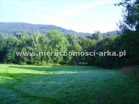 Działka budowlana na sprzedaż Gruszowiec 3 400m2 Foto 4