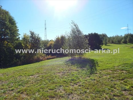 Działka budowlana na sprzedaż Skrzydlna 4 500m2 Foto 5