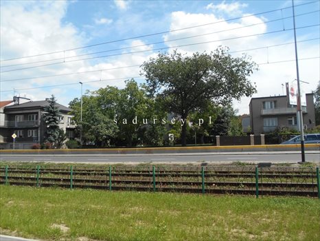 Działka inwestycyjna na sprzedaż Kraków, Łagiewniki-Borek Fałęcki, Łagiewniki, Zakopiańska 1 515m2 Foto 7
