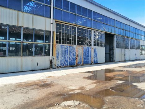 Lokal użytkowy na wynajem Mińsk Mazowiecki 600m2 Foto 1