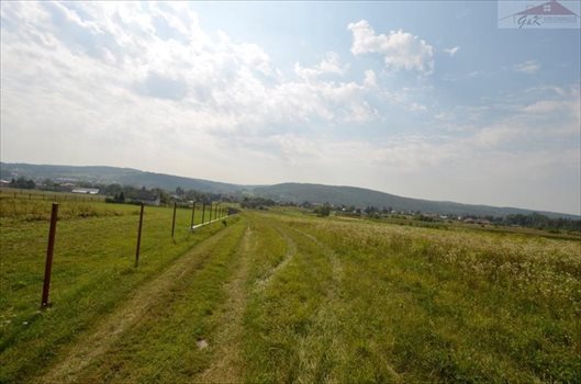 Działka budowlana na sprzedaż Ostrów 5 165m2 Foto 3