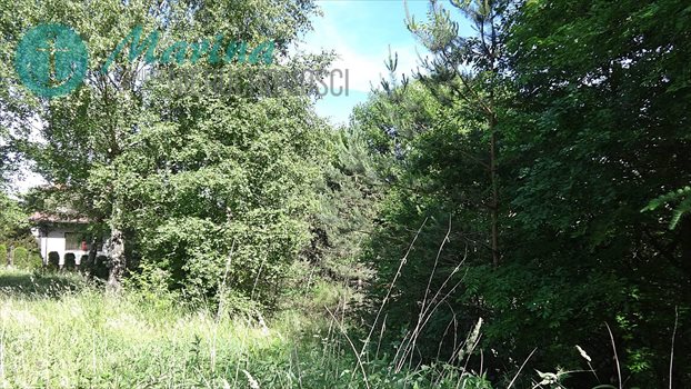 Działka budowlana na sprzedaż Kamień, Jezioro, Las, Tereny rekreacyjne 536m2 Foto 8