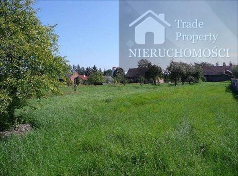 Działka budowlana na sprzedaż Tarnobrzeg, Tarnobrzeg 1 500m2 Foto 3