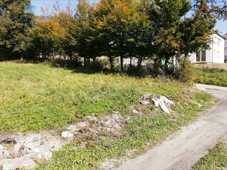Działka budowlana na sprzedaż Narama 1 400m2 Foto 5