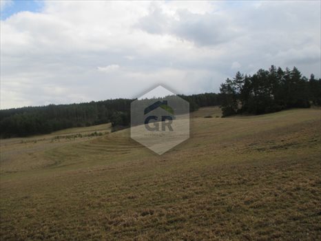 Działka rolna na sprzedaż Gołubie 114 900m2 Foto 4