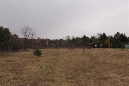 Działka rolna na sprzedaż Konstantynów Łódzki, Żabiczki 11 000m2 Foto 7