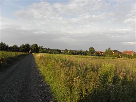 Działka budowlana na sprzedaż Pisarzowice 4 100m2 Foto 6