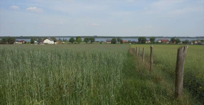 Działka budowlana na sprzedaż Powidz 3 700m2 Foto 6
