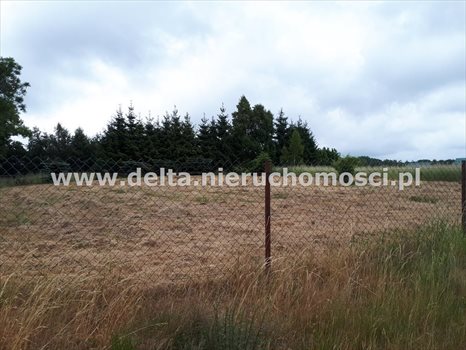 Działka budowlana na sprzedaż Izbica 1 248m2 Foto 6
