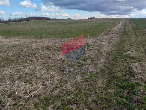 Działka budowlana na sprzedaż Pręgowo, prof. Bronisława Bukowskiego 9 164m2 Foto 6