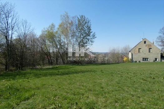 Działka inna na sprzedaż Działoszyn 2 100m2 Foto 7