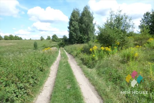 Działka inwestycyjna na sprzedaż Ramsowo 40 004m2 Foto 10
