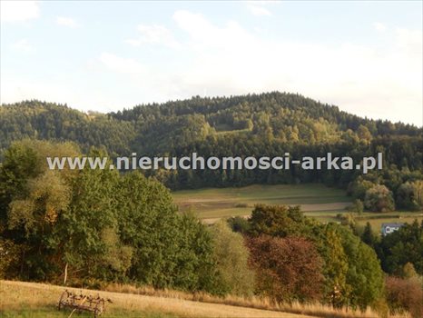 Działka budowlana na sprzedaż Limanowa 2 686m2 Foto 3