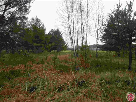 Działka budowlana na sprzedaż Kamień, Beżowa 1 152m2 Foto 6