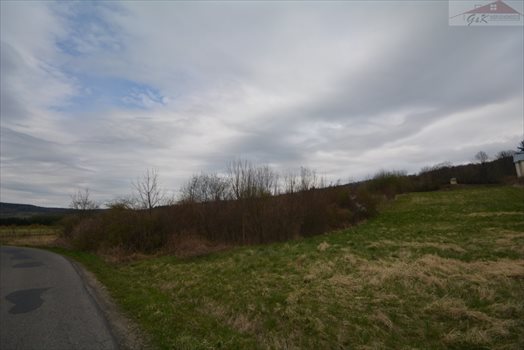 Działka rekreacyjna na sprzedaż Nowosiółki Dydyńskie 2 100m2 Foto 2