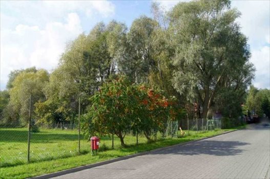 Działka inna na sprzedaż Warszawa, Wilanów, Powsin, Zapłocie 7 228m2 Foto 2