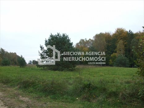 Działka budowlana na sprzedaż Ramleje 3 096m2 Foto 3