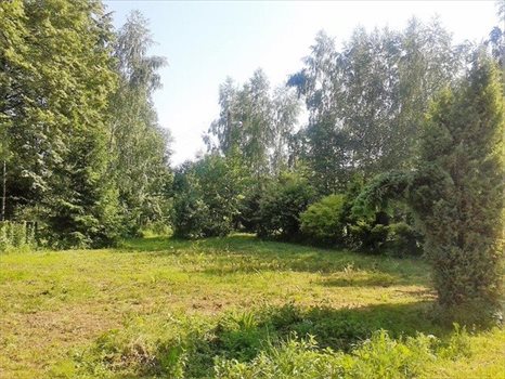 Działka budowlana na sprzedaż Strażów 3 300m2 Foto 1