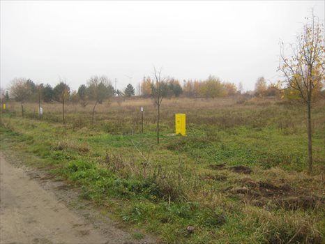 Działka budowlana na sprzedaż Kobylnica, Kalinowa 700m2 Foto 4