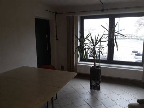 Lokal użytkowy na sprzedaż Lucynów, Warszawska 9 678m2 Foto 3