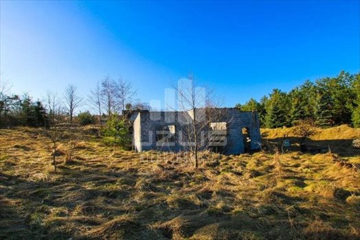 Działka inna na sprzedaż Bielkówko, Dworcowa 10 000m2 Foto 3