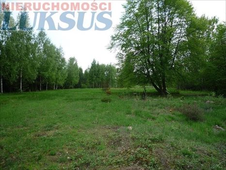 Działka inna na sprzedaż Many 12 200m2 Foto 3