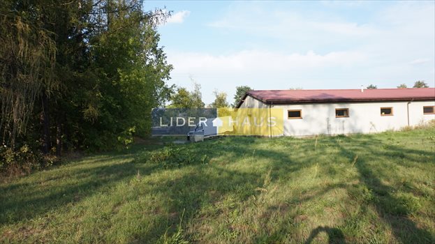 Lokal użytkowy na sprzedaż Kazuń Nowy 401m2 Foto 12