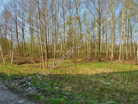 Działka budowlana na sprzedaż Otwock, Wólka Mlądzka 726m2 Foto 4
