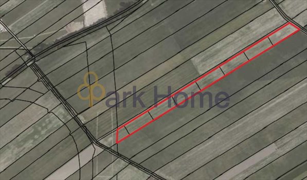 Działka inwestycyjna na sprzedaż Leszno 3 000m2 Foto 7
